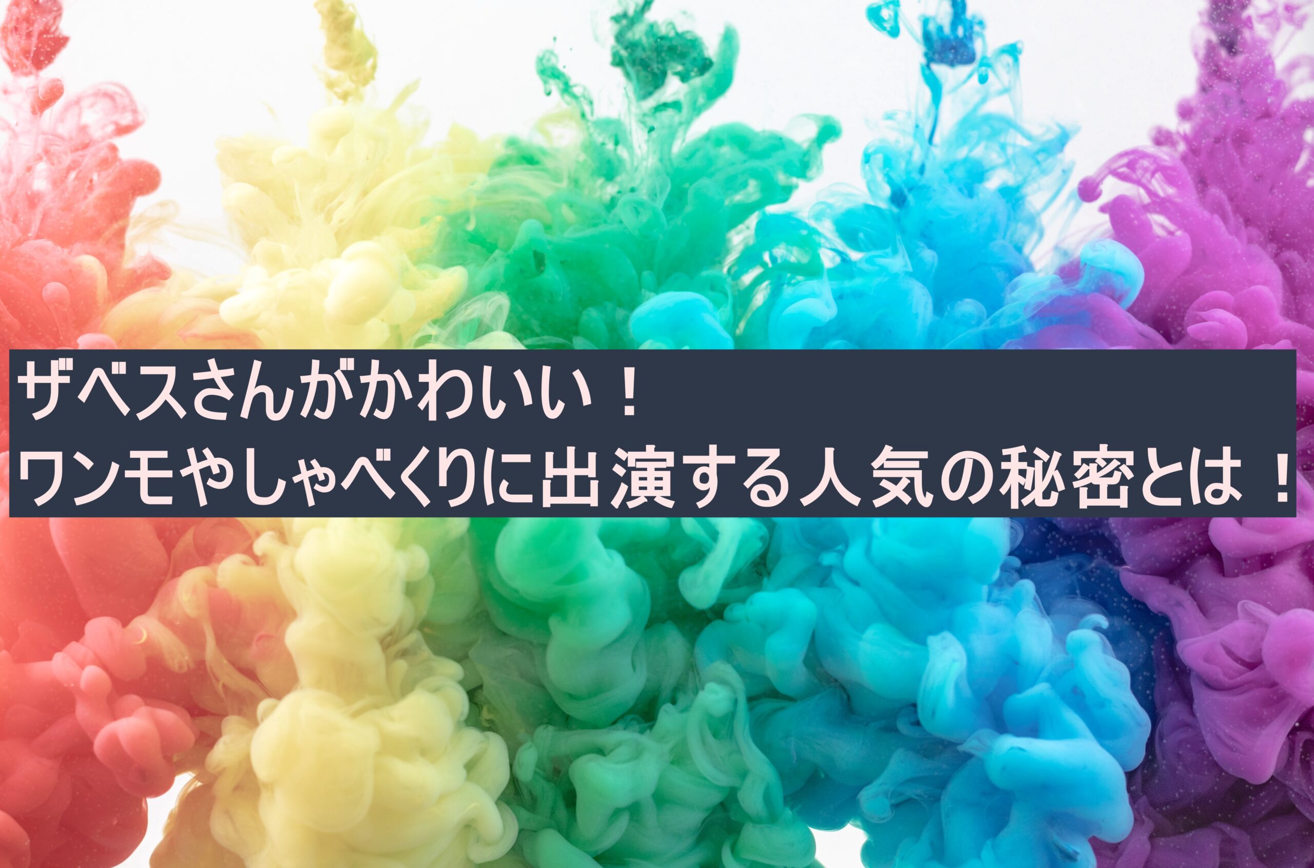 ザベスさんがかわいい ワンモやしゃべくりに出演する人気の秘密とは 芋とチョコ好き主婦がゆく